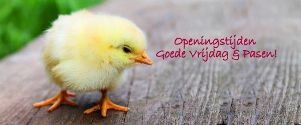 Modelec Data-Industrie is gesloten i.v.m. Goede Vrijdag en Pasen